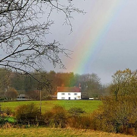 Pigeonwood House Bed & Breakfast Folkestone Eksteriør bilde